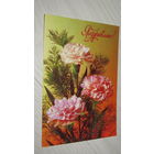 Открытка СССР с провизорием.