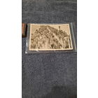 Фото Колонна советских военнопленных летом 1941г.