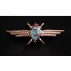 Нагрудный знак классной квалификации " Лётчик ВВС СССР 3-го класса ".