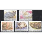 Россия 1996. Фауна. Домашние кошки. 5 марок 266-70 (153)