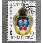 Марка СССР 1984 гол 120 лет Московскому зоопарку