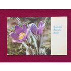 8 Марта! Талберг 1974 г.