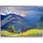 1957. Кашшай. После дождя