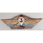 Знак специалиста 3 класса
