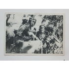 Открытка РККА  довоенная  10х15 см