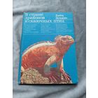 Хайнц Зильман. В стране драконов и сказочных птиц (серия "Дикая манящая природа")