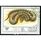 Фауна СССР 1977 год 1 марка