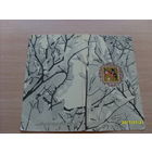 Новый год. 1970 год