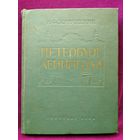 Н.Ф. Хомутецкий. Петербург Ленинград. 1958 год