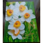 2017 год 8 сакавiка