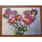 Украина 2001 маркированная ПК Поздравляю!