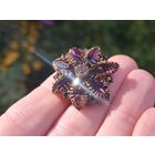 Старая брошь. С 1 рубля!