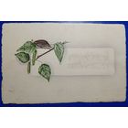 Открытка старинная. Пятидесятница. 1919 г.