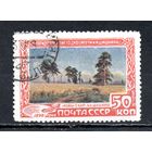 И. Шишкин СССР 1948 год 1 марка