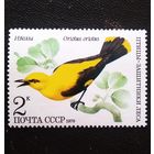 Марка СССР 1979 год Птицы