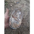 Лот по вермахту.