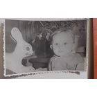 Фото в коллекцию