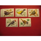 Марка Птицы 1979 год СССР