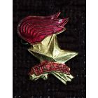 Значок КНДР.