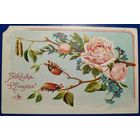 Открытка старинная. Пятидесятница.