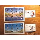 Марки РБ. Утки + болотные птицы 2 м/л+2 блока 1996г с 1 рубля без мин.