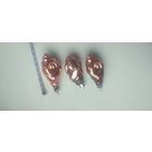 Новогодние игрушки ''Ракушка'' СССР