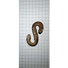 Зацеп для кортика