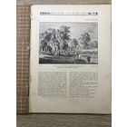 Журналы Ziema .Rodzina Polska.1934-1939г.цена за все.