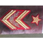 Купленные ещё в конце  90-х на  Ялтинской  киностудии РУЧНОЙ работы  шевроны генерала-маршала  РККА. Цена  за  1 комплект.