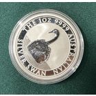 Лебеди 2023 австралия