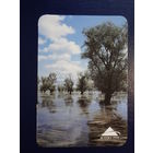 Календарик 2003 г.  Белгосстрах. Разлив реки.