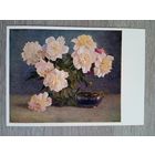 1958. Максимов. Пионы