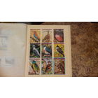 Птицы, фауна, совы, голуби и др, марки, Гвинея