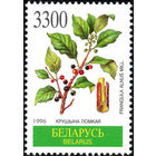 Лекарственные растения Беларусь 1996 год 1 марка