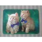Карманный календарик Котики.2006 год