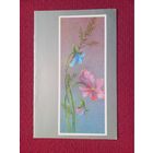 С Днем 8 Марта! Можаева 1989 г. Двойная. Чистая.