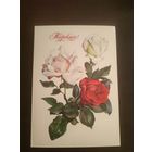 Открытка,поздравляем,подписана