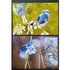 Беларусь 2022 КМ птица года, белая синица , тираж 30 экз .