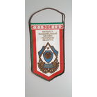 Вымпел институт национальной безопасности КГБ Беларусь