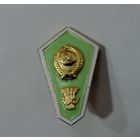 Знак за окончания сельхоз. техникума СССР. Алюминий.