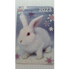 Календарик. Белый заяц в ромашках.2023