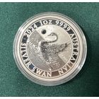 Лебеди 2024 австралия