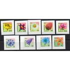 Беларусь 2002. Стандарт 6-й выпуск. Флора 9 марок  (245)