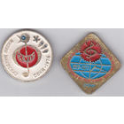 17-й праздник песни (Сочи, 1976); 5-й Международный молодежный фестиваль песни (Сочи, 1977).