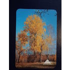 Календарик 2003 г.  Белгосстрах.  Осень.