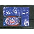 Беларусь 2008. С Новым годом