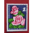 Венгрия 1972 г. Цветы.