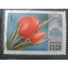 СССР, 1978. Тюльпан, Большой театр