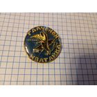 Значок Галчонок