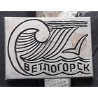 Светлогорск